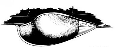 Иллюстрация к книге — Avro Lancaster [pic_63.jpg]