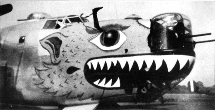 Иллюстрация к книге — B-24 Liberator [pic_202.jpg]