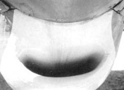 Иллюстрация к книге — Пе-2 [pic_223.jpg]