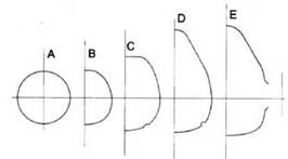 Иллюстрация к книге — Bristol Beaufighter [pic_97.jpg]