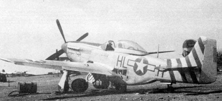 Иллюстрация к книге — Р-51 «Мустанг» [pic_163.jpg]