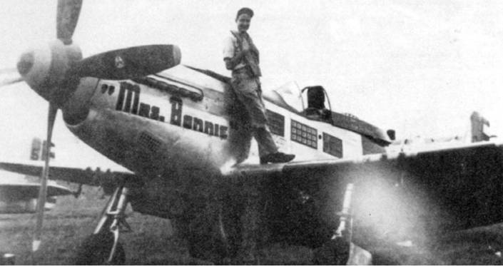 Иллюстрация к книге — Р-51 «Мустанг» [pic_169.jpg]