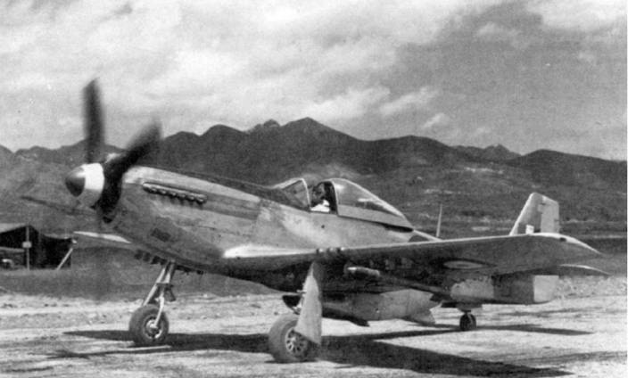 Иллюстрация к книге — Р-51 «Мустанг» [pic_173.jpg]