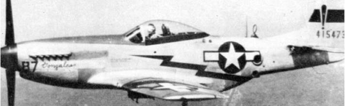 Иллюстрация к книге — Р-51 «Мустанг» [pic_177.jpg]