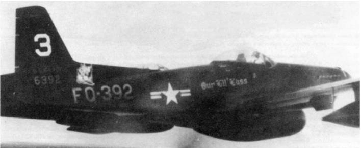 Иллюстрация к книге — Р-51 «Мустанг» [pic_205.jpg]