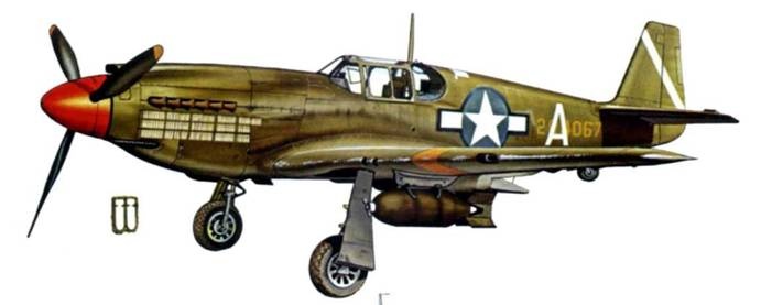 Иллюстрация к книге — Р-51 «Мустанг» [pic_208.jpg]