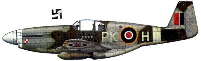 Иллюстрация к книге — Р-51 «Мустанг» [pic_210.jpg]