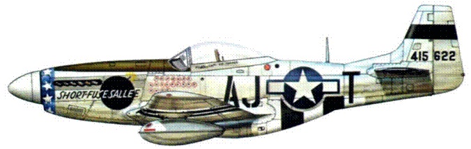 Иллюстрация к книге — Р-51 «Мустанг» [pic_212.jpg]