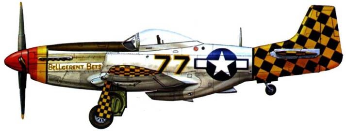 Иллюстрация к книге — Р-51 «Мустанг» [pic_213.jpg]