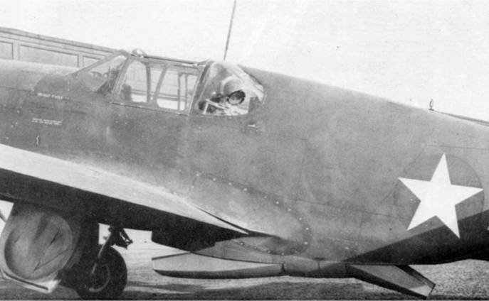 Иллюстрация к книге — Р-51 «Мустанг» [pic_33.jpg]