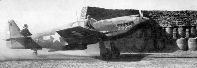 Иллюстрация к книге — Р-51 «Мустанг» [pic_34.jpg]