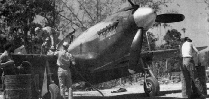 Иллюстрация к книге — Р-51 «Мустанг» [pic_55.jpg]