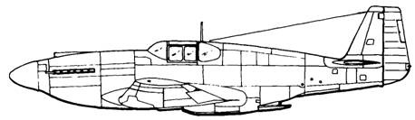 Иллюстрация к книге — Р-51 «Мустанг» [pic_6.jpg]
