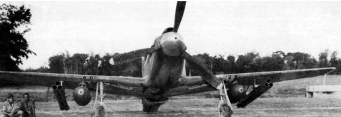 Иллюстрация к книге — Р-51 «Мустанг» [pic_65.jpg]