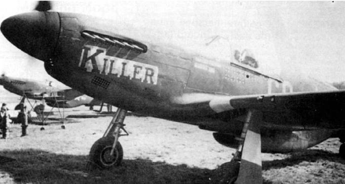 Иллюстрация к книге — Р-51 «Мустанг» [pic_83.jpg]