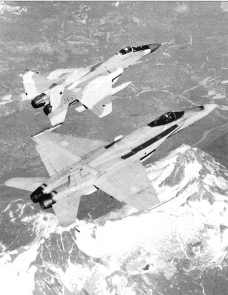 Иллюстрация к книге — МиГ-29 [pic_55.jpg]