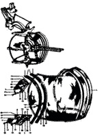 Иллюстрация к книге — B-26 «Marauder» [pic_125.jpg]