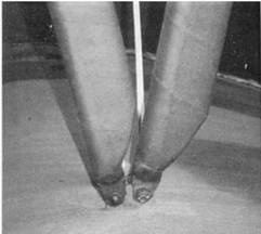 Иллюстрация к книге — У-2 / По-2 [pic_192.jpg]