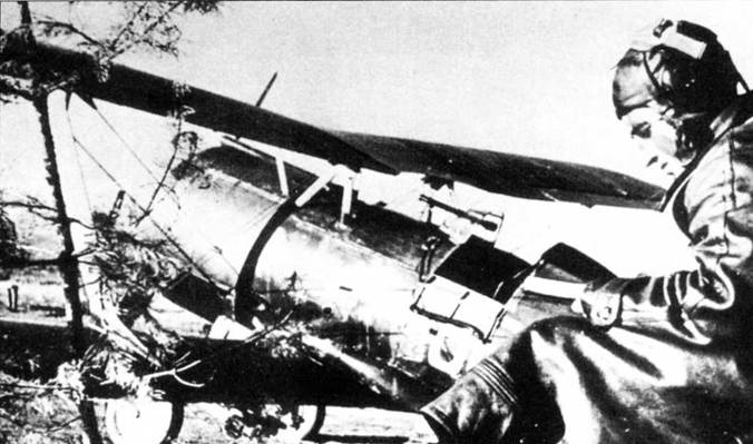 Иллюстрация к книге — Истребители Поликарпова. Часть 1 [pic_81.jpg]