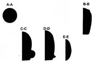 Иллюстрация к книге — Fairey «Firefly» [pic_92.jpg]