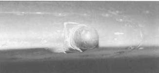 Иллюстрация к книге — МиГ-21. Особенности модификаций и детали конструкции. Часть 2 [pic_115.jpg]