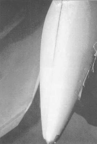 Иллюстрация к книге — МиГ-21. Особенности модификаций и детали конструкции. Часть 2 [pic_174.jpg]