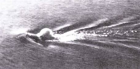 Иллюстрация к книге — Сверхмалые субмарины и человеко-торпеды. Часть 3 [pic_28.jpg]