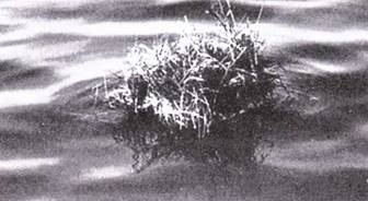 Иллюстрация к книге — Сверхмалые субмарины и человеко-торпеды. Часть 3 [pic_94.jpg]