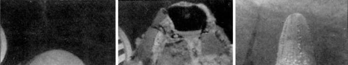 Иллюстрация к книге — Субмарины США «OHIO» [pic_38.jpg]