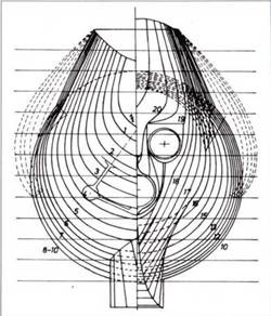 Иллюстрация к книге — Германские субмарины Тип II крупным планом [pic_3.jpg]