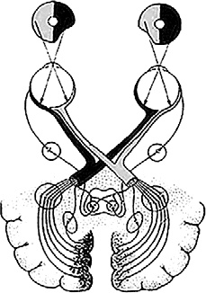 Иллюстрация к книге — Чертоги разума. Убей в себе идиота! [i_004.jpg]