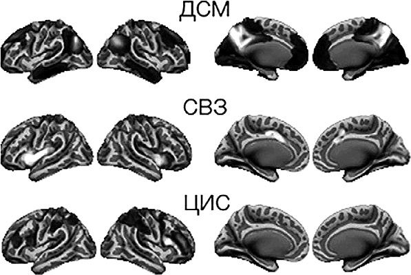Иллюстрация к книге — Чертоги разума. Убей в себе идиота! [i_009.jpg]