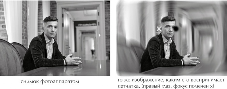 Иллюстрация к книге — Чертоги разума. Убей в себе идиота! [i_012.jpg]