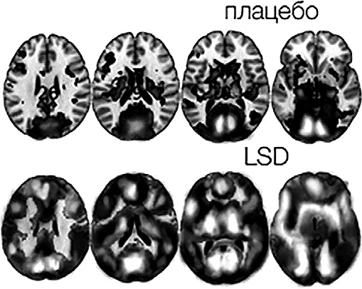 Иллюстрация к книге — Чертоги разума. Убей в себе идиота! [i_016.jpg]
