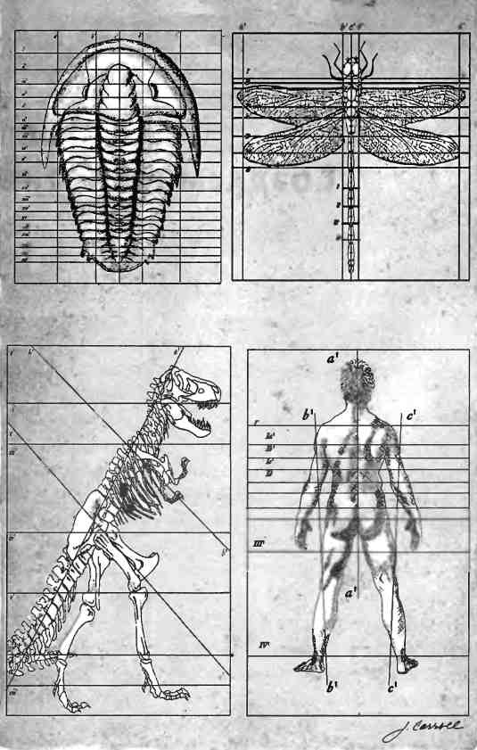 Иллюстрация к книге — Бесконечное число самых прекрасных форм [img_2.jpg]