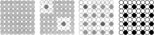 Иллюстрация к книге — Бесконечное число самых прекрасных форм [img_48.jpg]