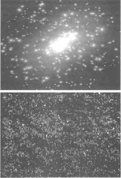 Иллюстрация к книге — Бесконечное число самых прекрасных форм [img_50.jpg]