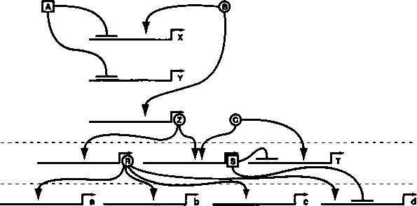 Иллюстрация к книге — Бесконечное число самых прекрасных форм [img_57.jpg]