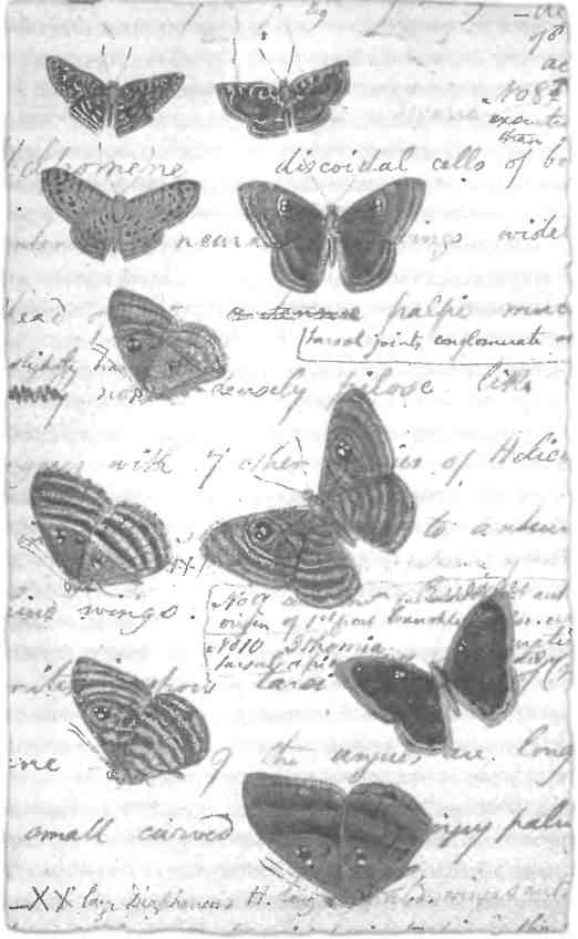 Иллюстрация к книге — Бесконечное число самых прекрасных форм [img_80.jpg]