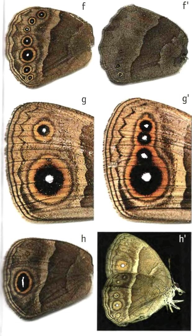 Иллюстрация к книге — Бесконечное число самых прекрасных форм [img_94.jpg]