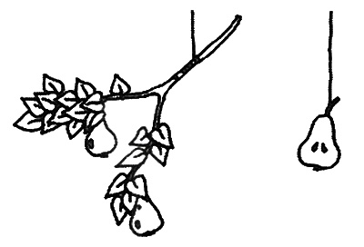 Иллюстрация к книге — Смерть и приключения Ефросиньи Прекрасной [i_006.jpg]