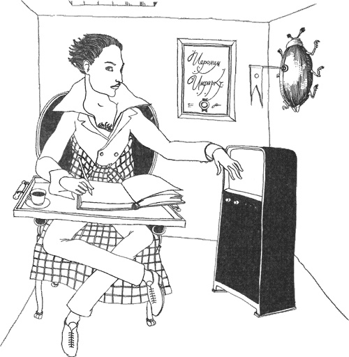 Иллюстрация к книге — Смерть и приключения Ефросиньи Прекрасной [i_020.jpg]