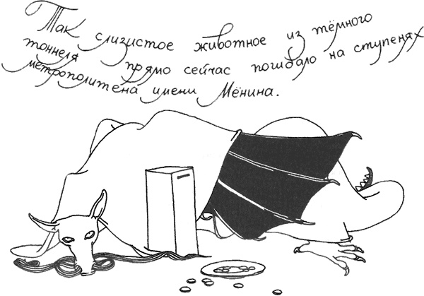 Иллюстрация к книге — Смерть и приключения Ефросиньи Прекрасной [i_068.jpg]