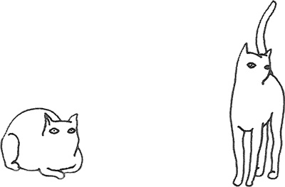 Иллюстрация к книге — Смерть и приключения Ефросиньи Прекрасной [i_070.jpg]