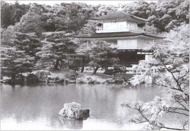 Иллюстрация к книге — "Черный пояс" без грифа секретности [i_017.jpg]