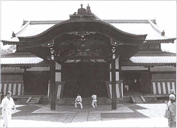 Иллюстрация к книге — "Черный пояс" без грифа секретности [i_021.jpg]