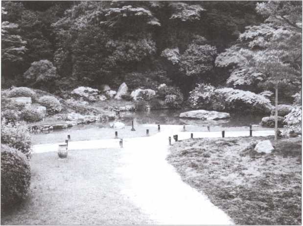 Иллюстрация к книге — "Черный пояс" без грифа секретности [i_029.jpg]