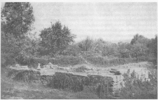 Иллюстрация к книге — Архаическая Спарта. Искусство и политика [img_4.jpg]