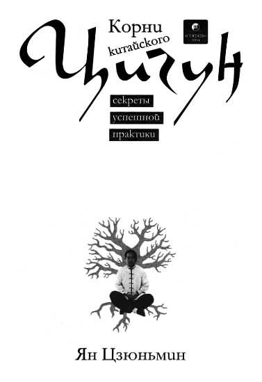 Иллюстрация к книге — Корни китайского цигун. Секреты успешной практики [_00.jpg]