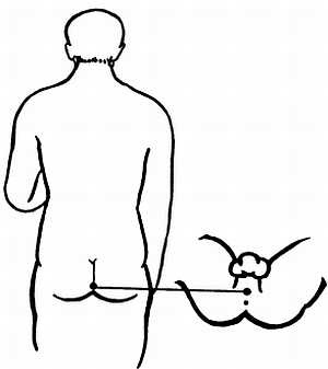 Иллюстрация к книге — Корни китайского цигун. Секреты успешной практики [_07.jpg]